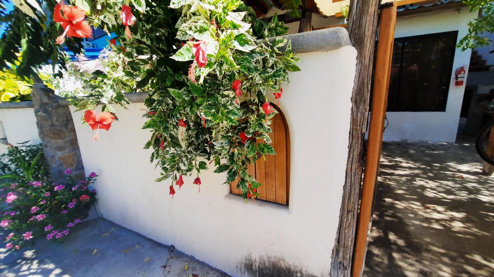 Alma De Cedrela Daire Puerto Ayora  Dış mekan fotoğraf