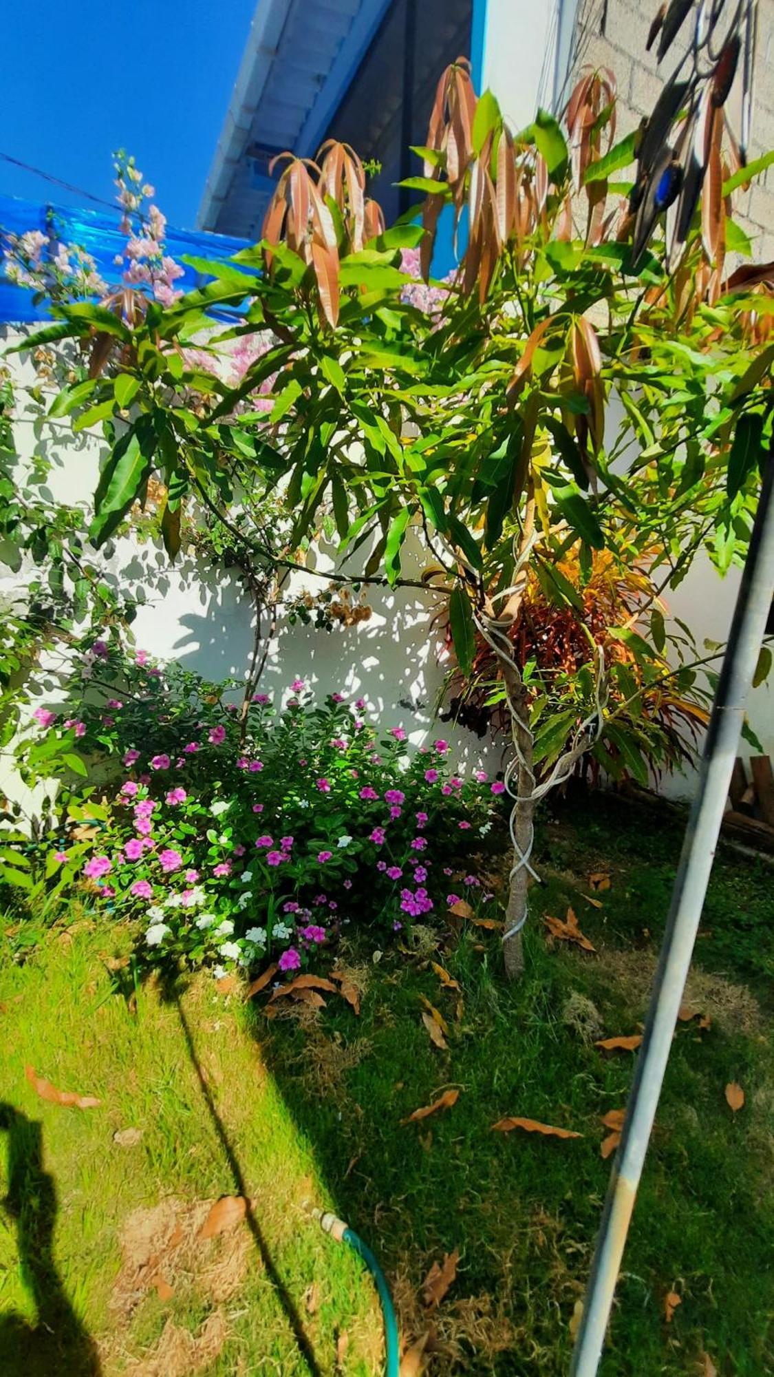 Alma De Cedrela Daire Puerto Ayora  Dış mekan fotoğraf