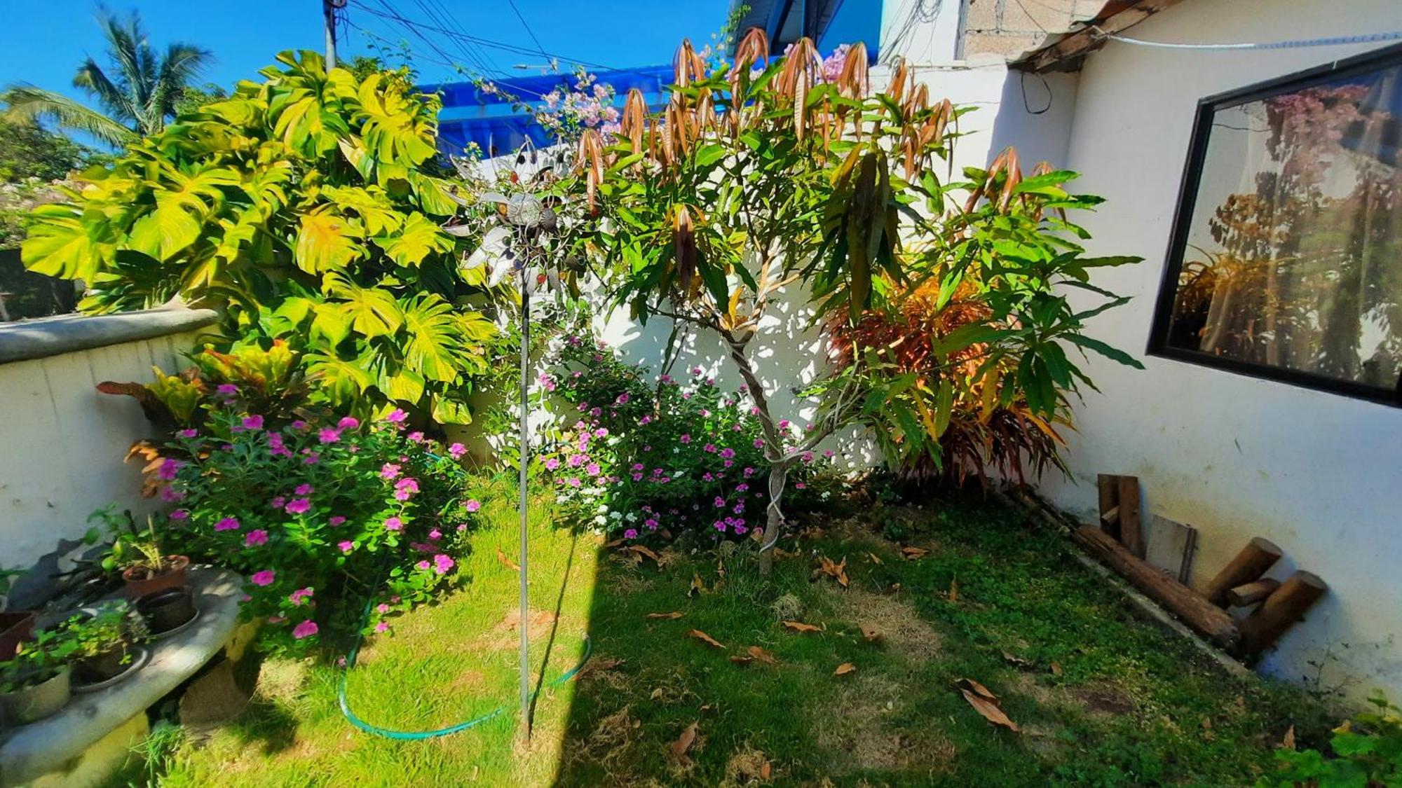 Alma De Cedrela Daire Puerto Ayora  Dış mekan fotoğraf