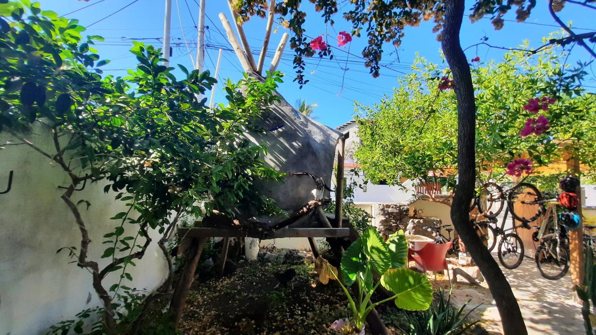 Alma De Cedrela Daire Puerto Ayora  Dış mekan fotoğraf