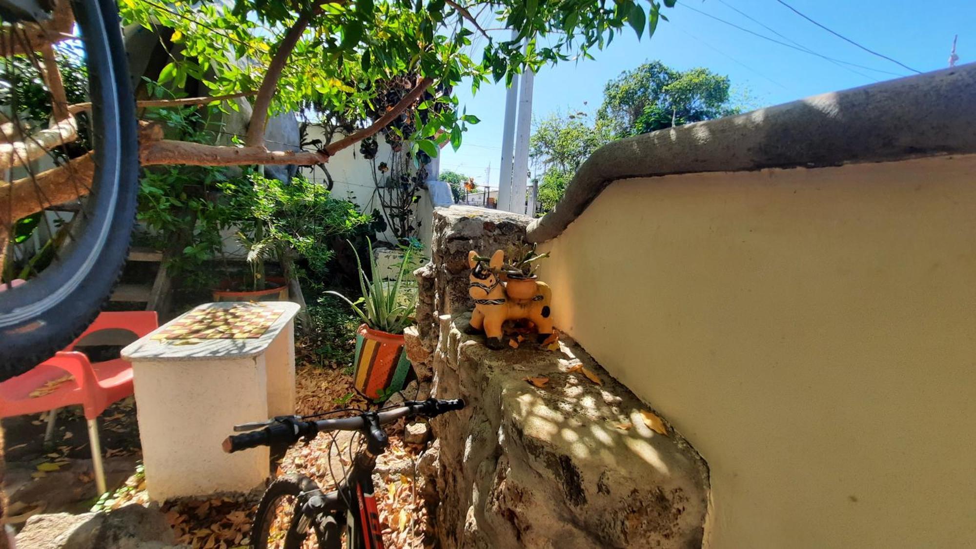 Alma De Cedrela Daire Puerto Ayora  Dış mekan fotoğraf