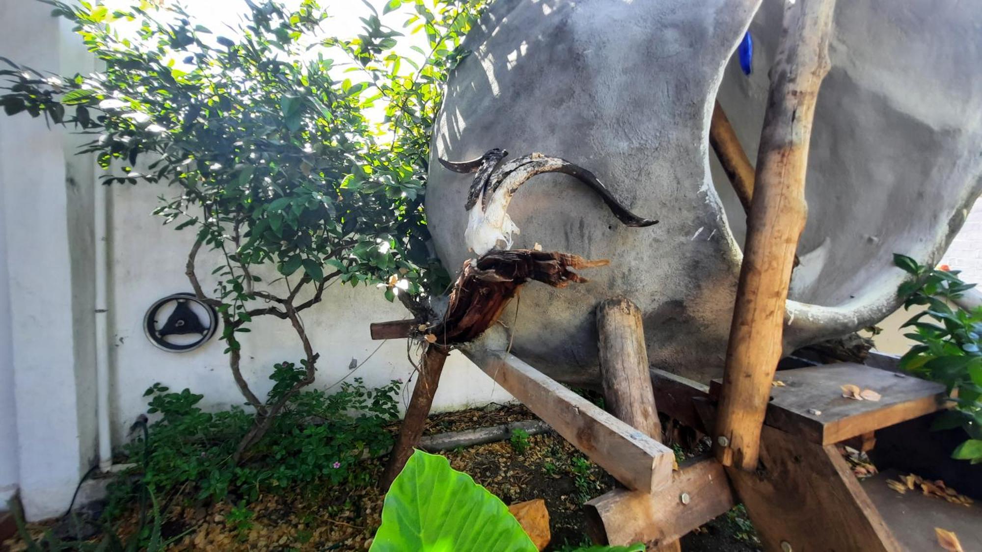 Alma De Cedrela Daire Puerto Ayora  Dış mekan fotoğraf